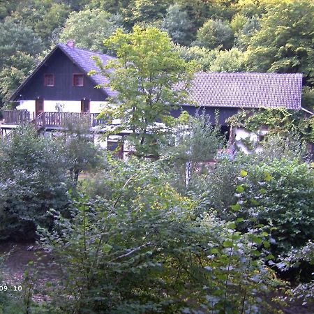 Neumuehle Ferienwohnung 2 Lutzerath Екстериор снимка