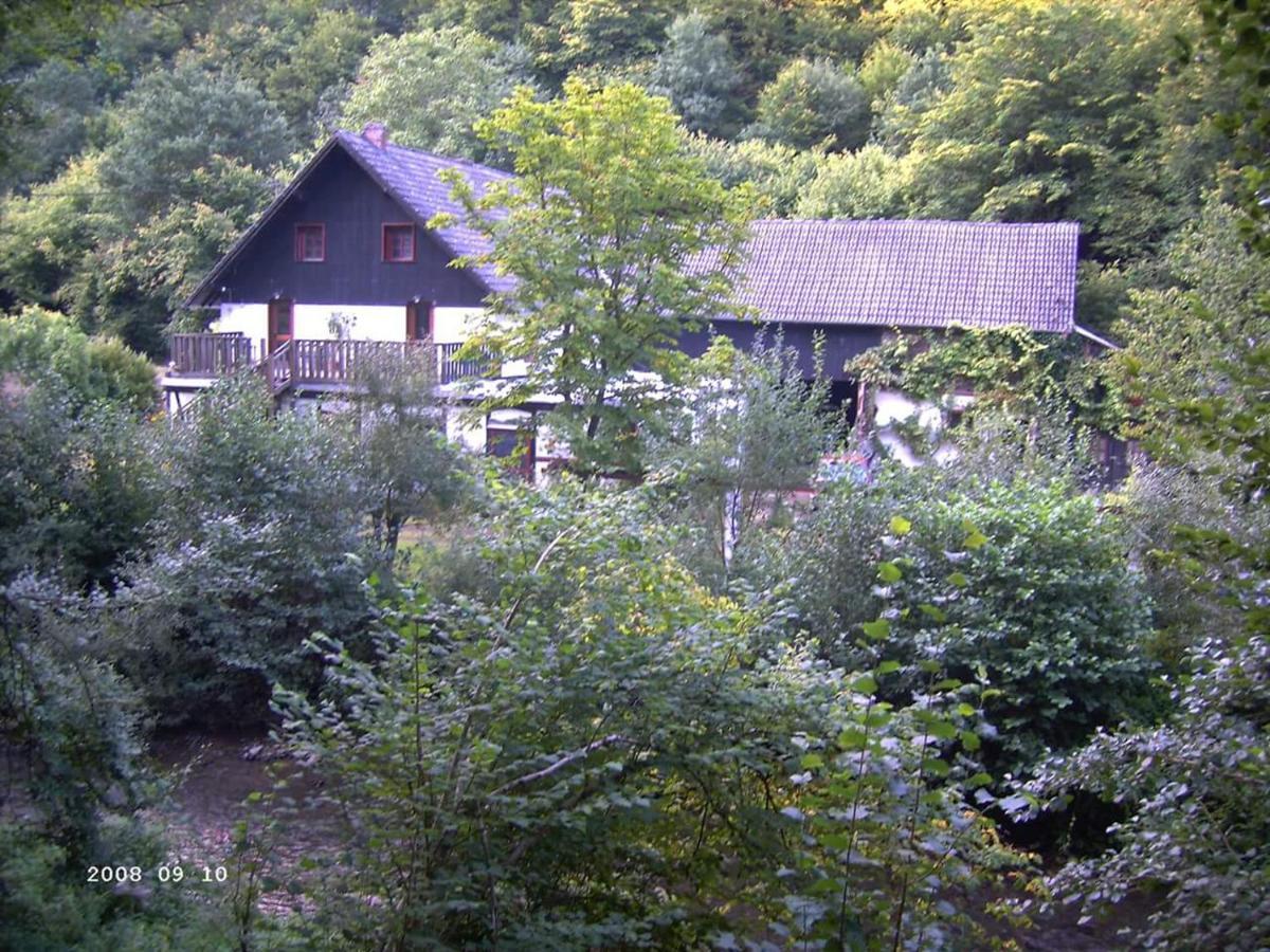 Neumuehle Ferienwohnung 2 Lutzerath Екстериор снимка